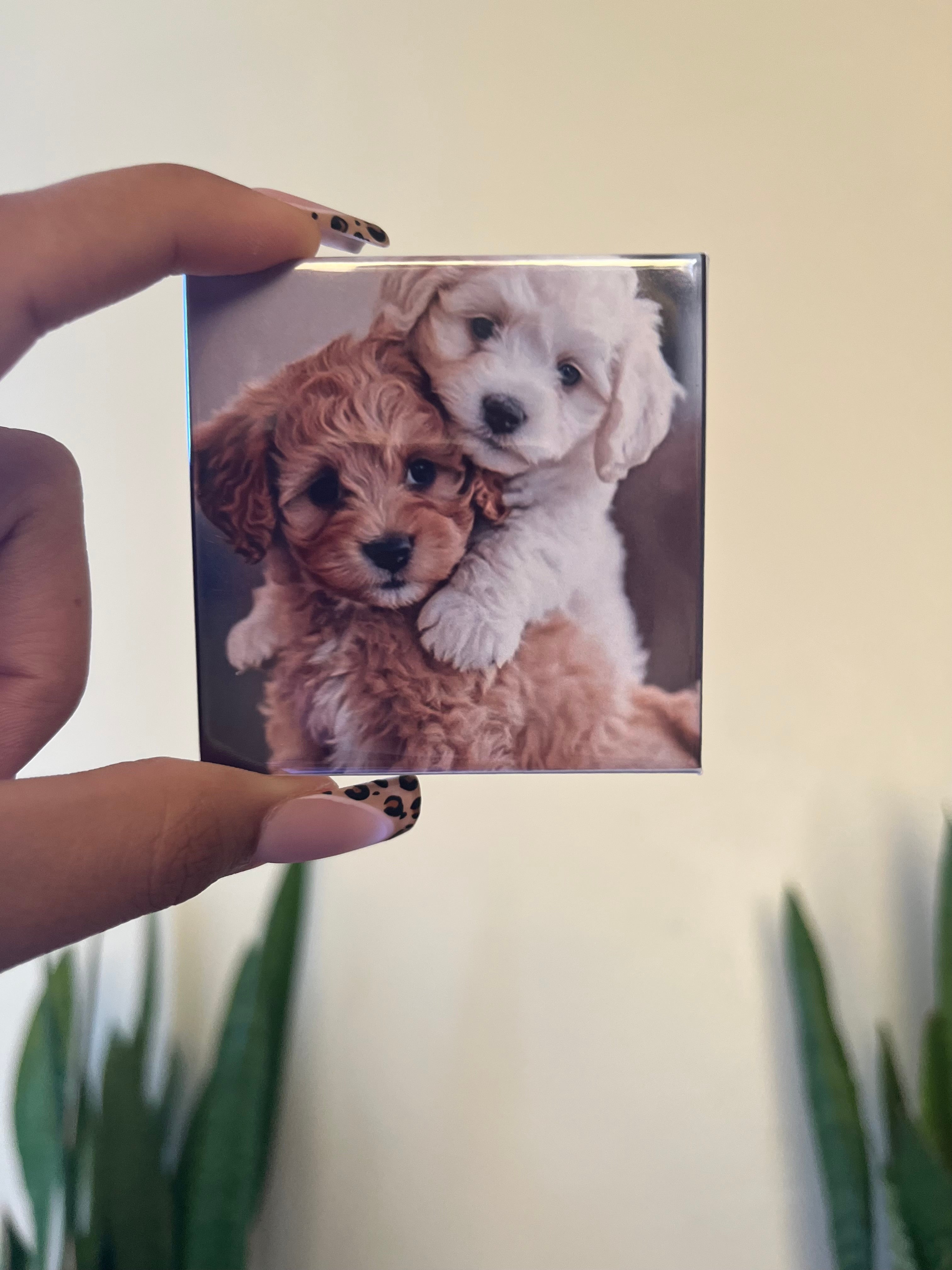 6 Pack - Custom 2.5" x 2.5" Magnets